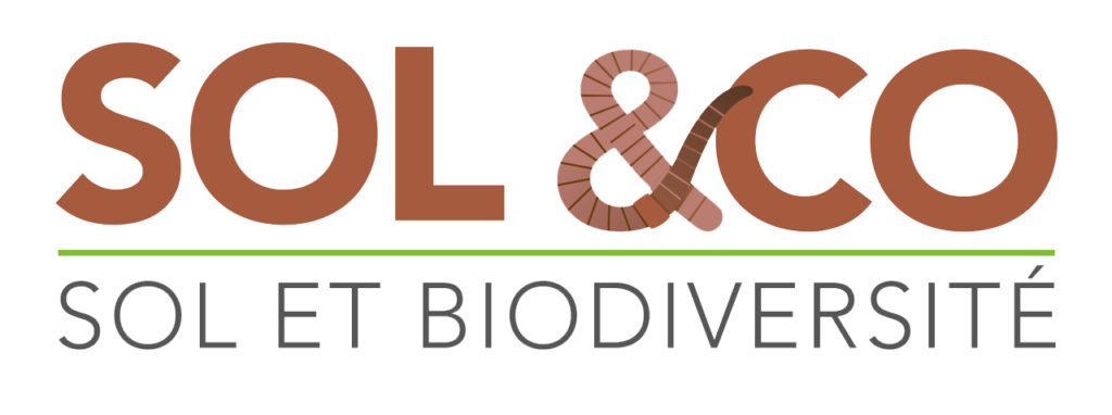 Logo Sol &co / Sol et biodiversité