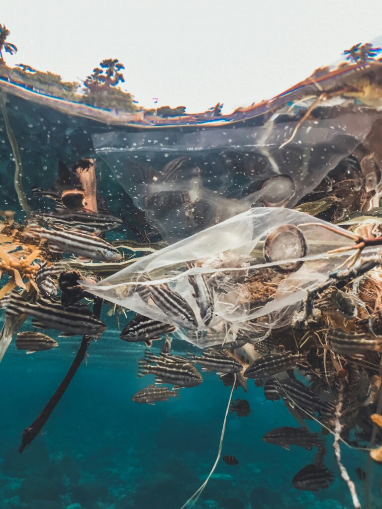 photo d'océan pollué aux microplastiques